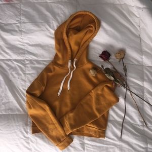 Cute Cropped Hoodie